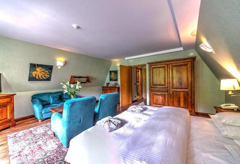 Апартаменты 1 Спальня, Jelenia Struga Medical Spa