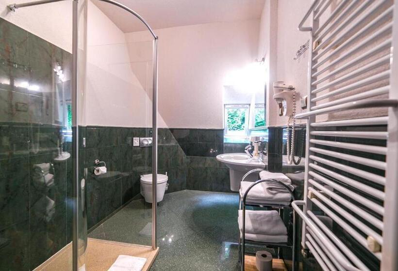 Номер Deluxe с Балконом, Jelenia Struga Medical Spa