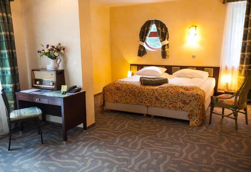 Номер Superior, Jelenia Struga Medical Spa