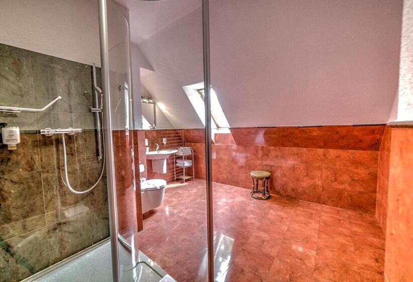 Номер Deluxe с Балконом, Jelenia Struga Medical Spa