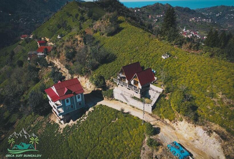 آپارتمان 1 خوابه با چشم‌انداز, Orca Bungalows