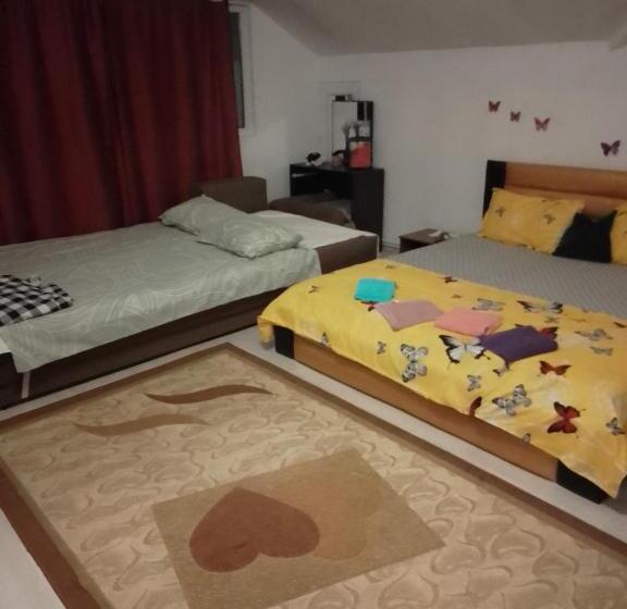 家庭间, Casa Mocanu