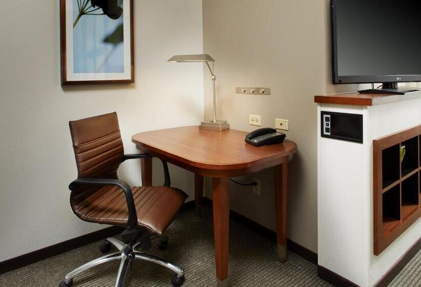 高级寓所标准房间, Hyatt Place Grand Rapids South