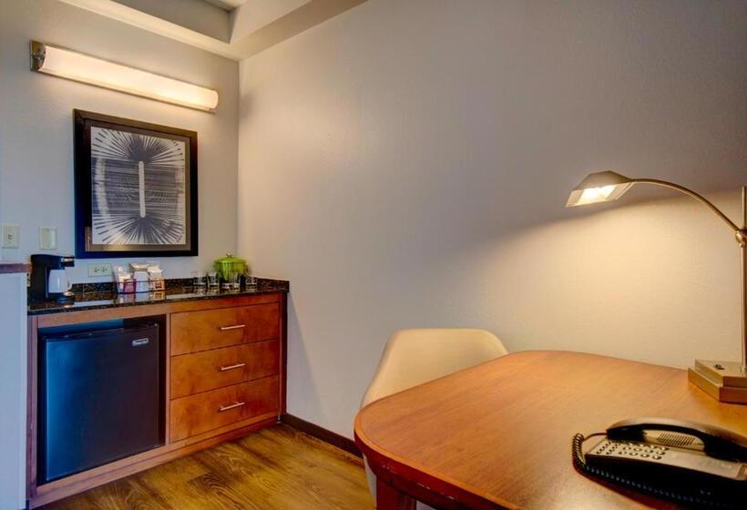 适合残疾人士使用的带超级大床的标准间, Hyatt Place Grand Rapids South