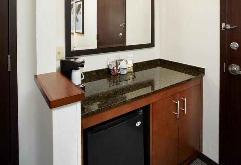 适合残疾人使用的标准间, Hyatt Place Grand Rapids South