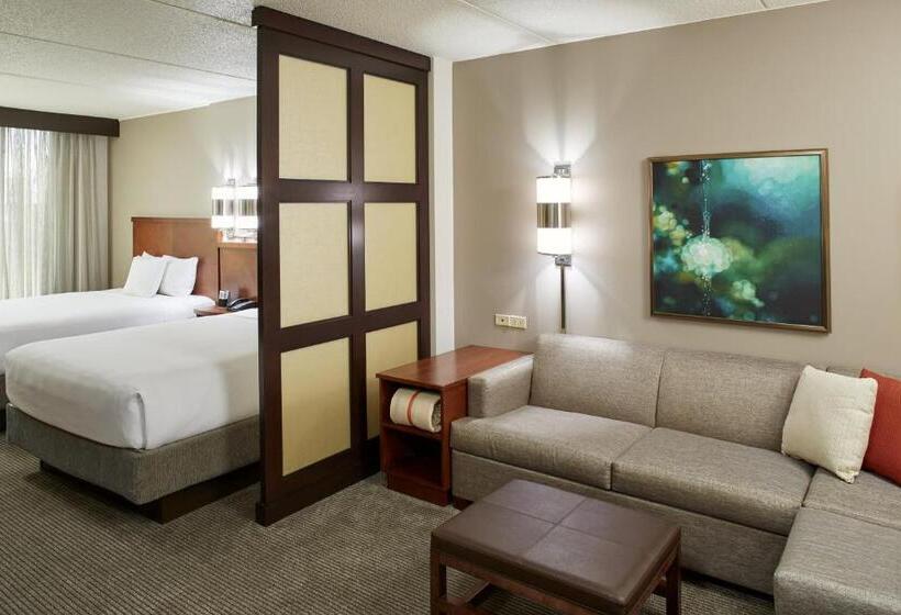 带2个双人床的标准工作室, Hyatt Place Grand Rapids South