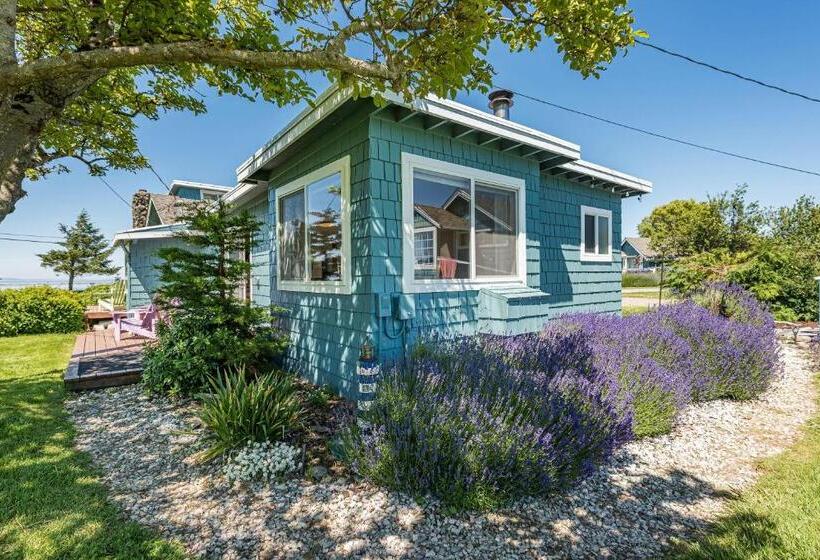 스탠다드 룸 킹사이즈 침대, Juan De Fuca Cottages