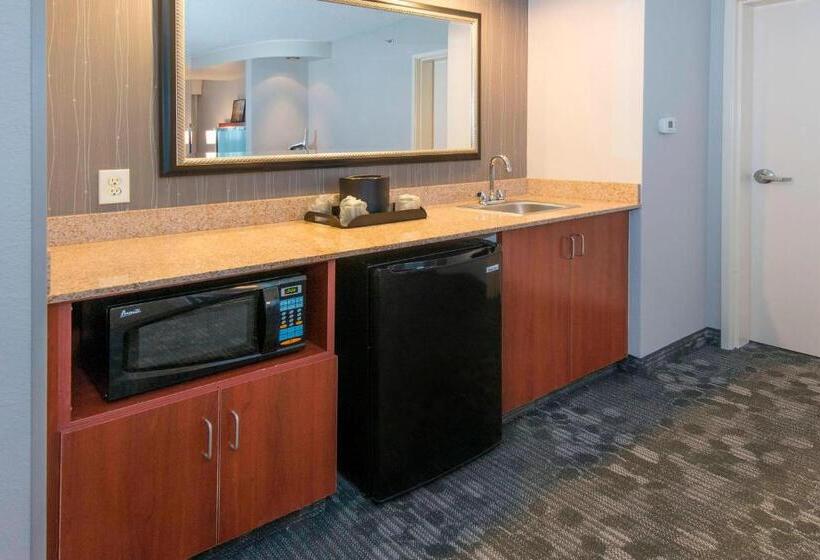带大床的套房, Courtyard By Marriott Montgomery Prattville