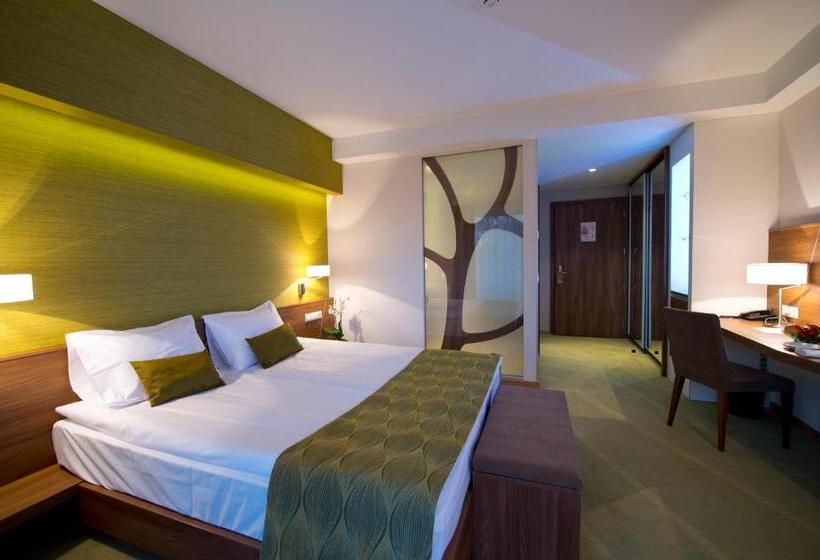 Номер Стандарт Внутренний, Imola Hotel Platán