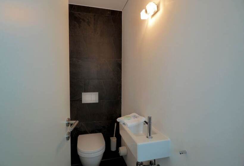 Апартаменты 1 Спальня, Aparthotel Alpinresort Damüls