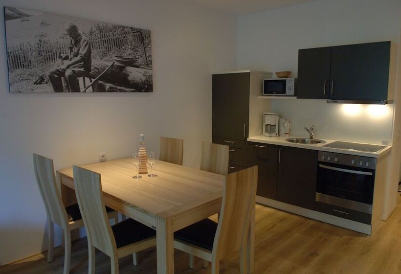 Апартаменты 1 Спальня, Aparthotel Alpinresort Damüls