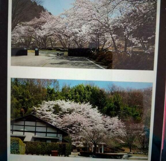 Дом 1 Спальня, Siawase No Yado Shared With Host   Vacation Stay 68283v