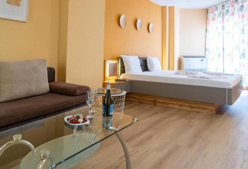 Студия Стандарт, Art Hotel Simona