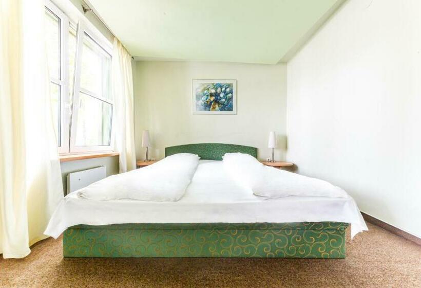 اتاق استاندارد, Basanavičiaus G. 45 Apartments
