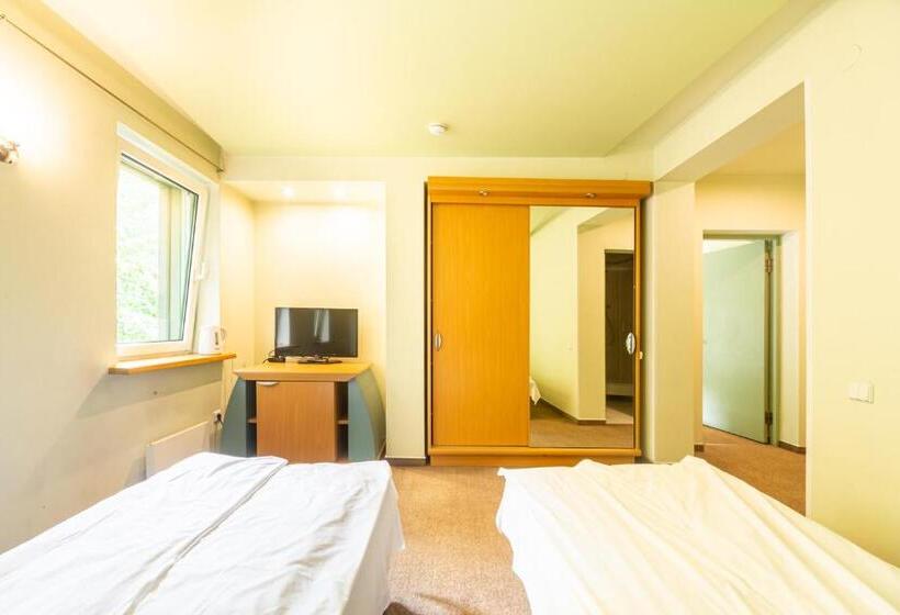 اتاق کلاسیک چهارنفره, Basanavičiaus G. 45 Apartments