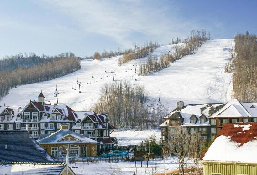 Студия Стандарт, Condo 211 At North Creek Resort