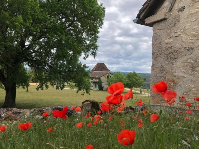 Номер Superior, Hôtel Les Vieilles Tours Rocamadour
