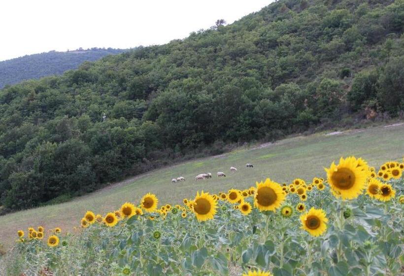 스탠다드 스튜디오, Agriturismo Roccagelli