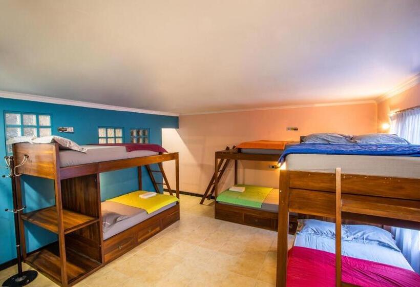 Кровать в Общей Комнате, Laki Uma Villa  Male Only
