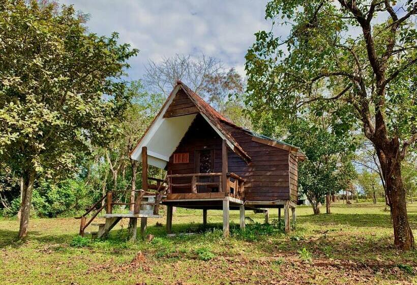 Номер Стандарт Вид на Горы, Nature Lodge