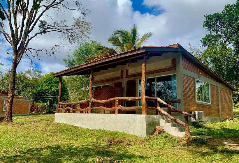 Номер Deluxe с Балконом, Nature Lodge