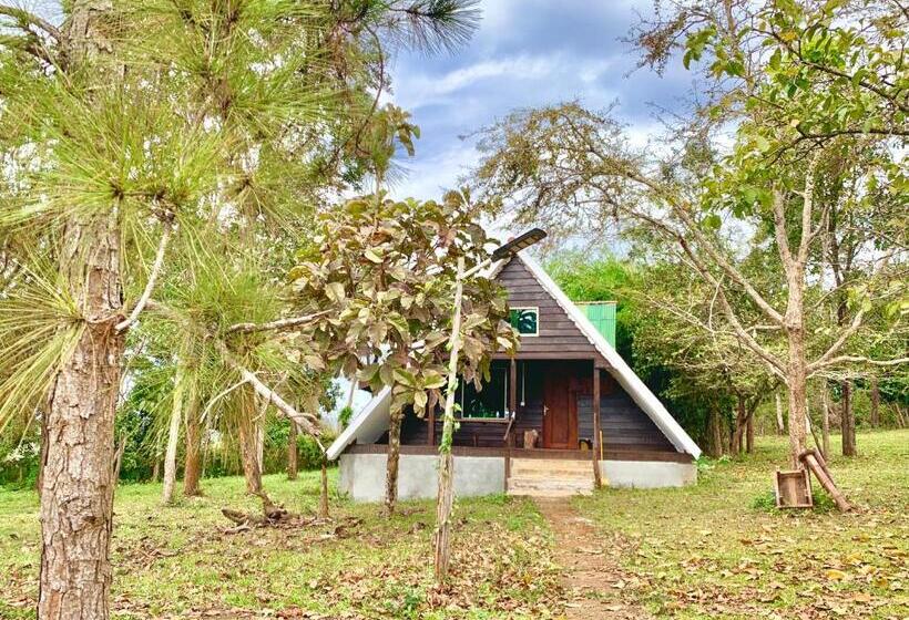 Семейное Бунгало, Nature Lodge