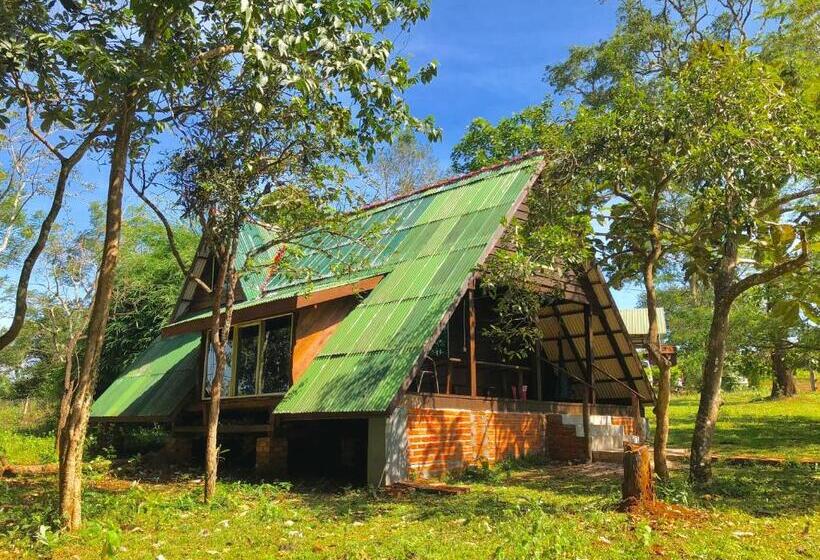 Семейное Бунгало, Nature Lodge