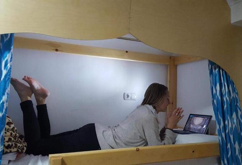 Кровать в Общей Комнате, Amir Hostel