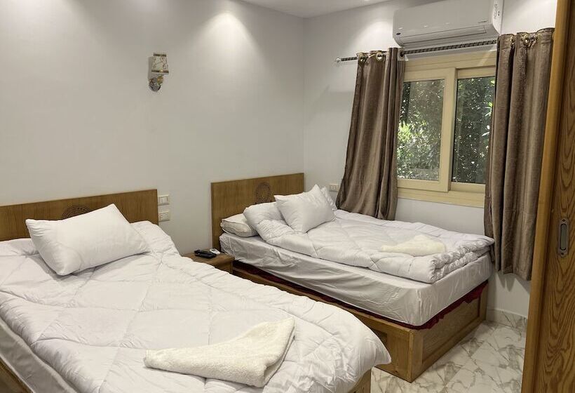 اتاق استاندارد, Life Pyramids Inn