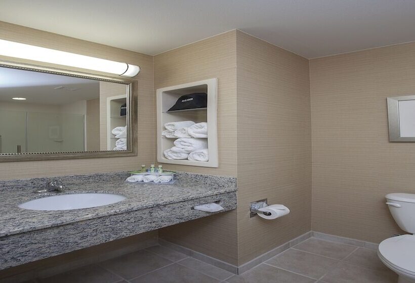 Номер Стандарт, Holiday Inn Express Hotel & Suites Morgan City  Tiger Island, An Ihg