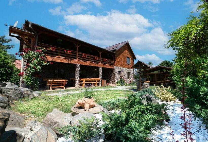 Апартаменты 1 Спальня, Casa De Vacanta Sadu