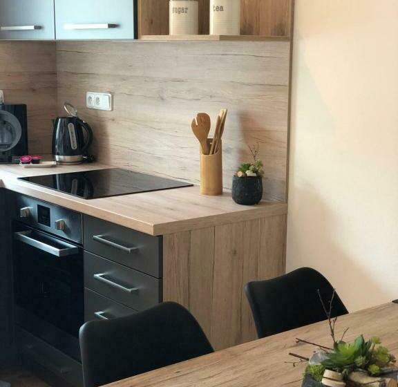 اتاق دوبلکس, Apartmány Koněvova
