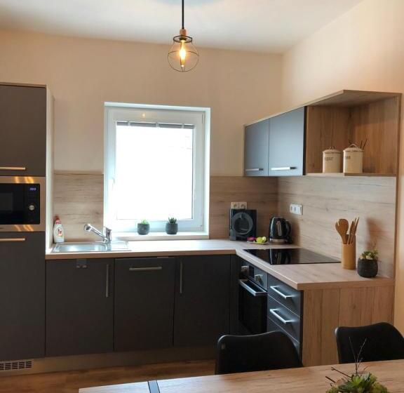 اتاق دوبلکس, Apartmány Koněvova