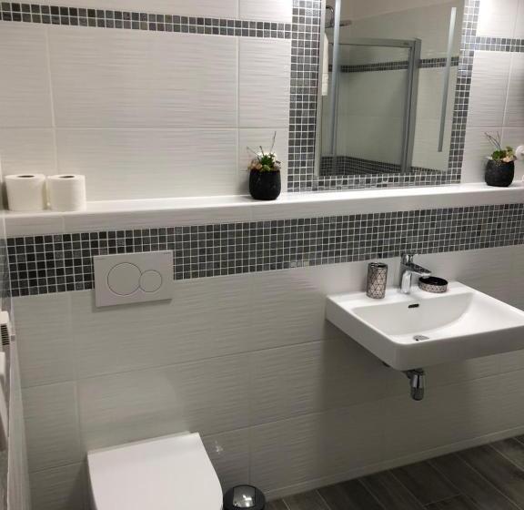 اتاق دوبلکس, Apartmány Koněvova