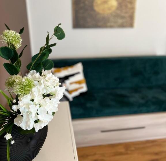 آپارتمان 1 خوابه با تراس, Apartmány Koněvova