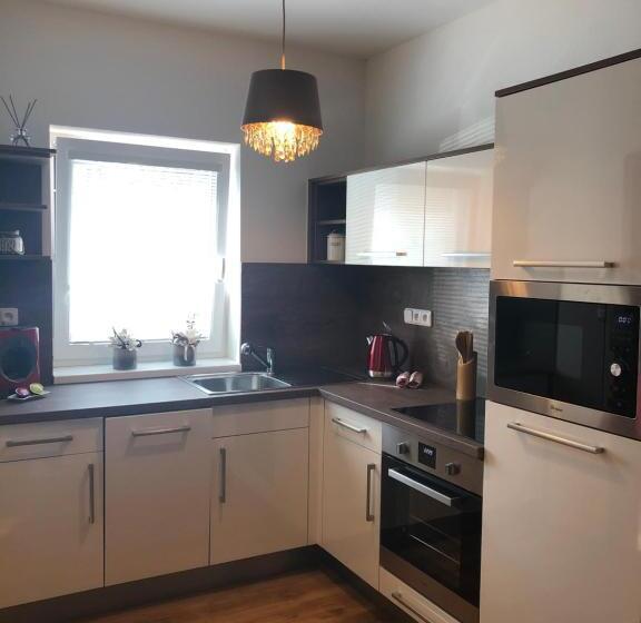 آپارتمان 1 خوابه با تراس, Apartmány Koněvova