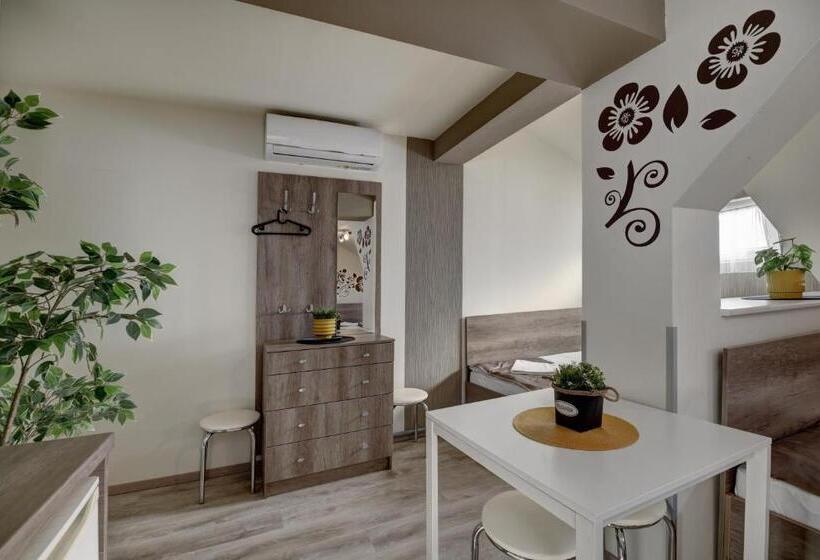 Студия Стандарт, Familia Panzió & Apartmanház Győr