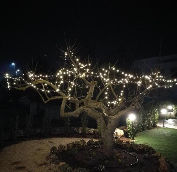 Семейный Номер, B&b I Trulli Dei Desideri