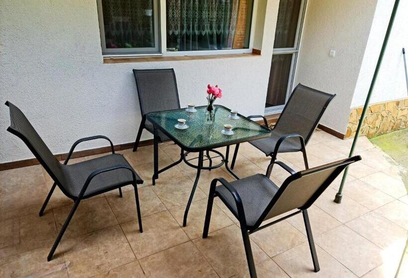 Студия Стандарт, Fema Guest House