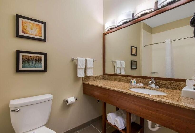 Стандартный Номер Кровать Кинг, Comfort Inn & Suites Barnesville   Frackville