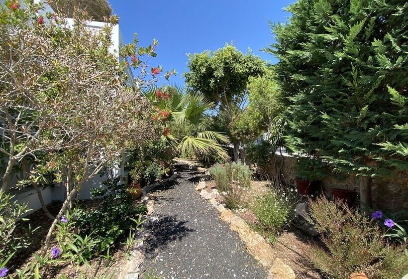 חדר סופריור, Kalya Suites