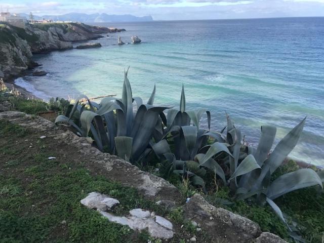 آپارتمان 1 خوابه با تراس, By The Sea