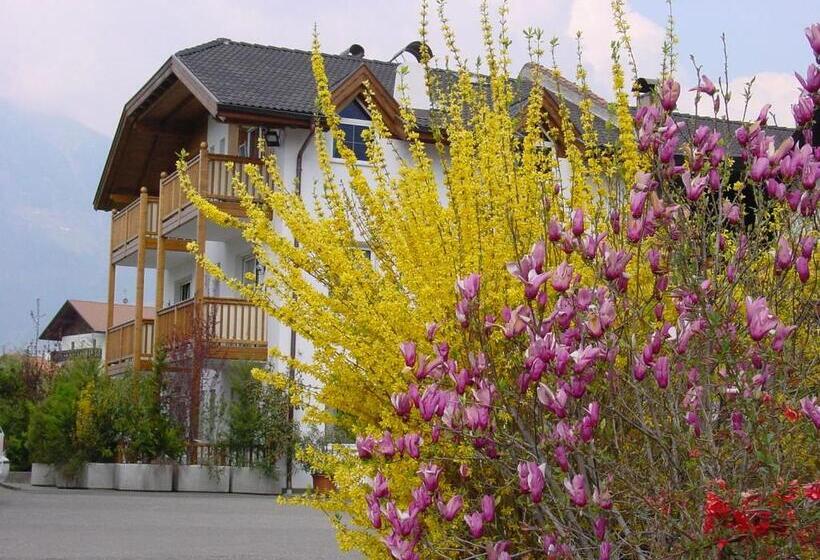 Апартаменты 1 Спальня с Балконом, Pension Appartment Hecherhof