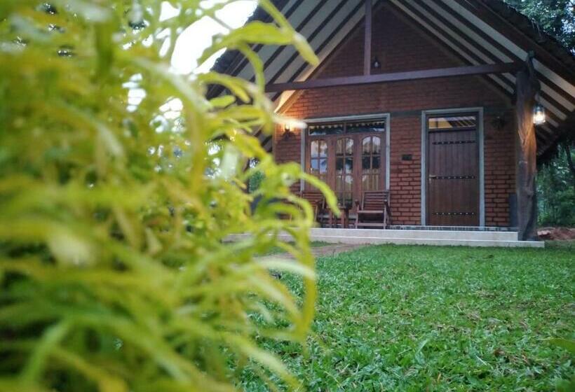 Семейный Номер, Sigiriya Nature Resort