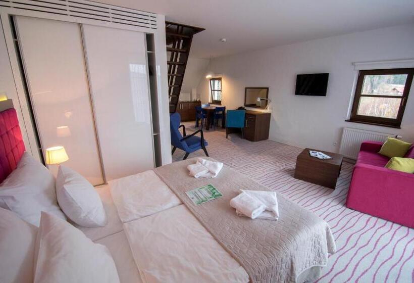 Апартаменты Дюплекс 1 Спальня, Aparthotel Flinski Sport & Spa