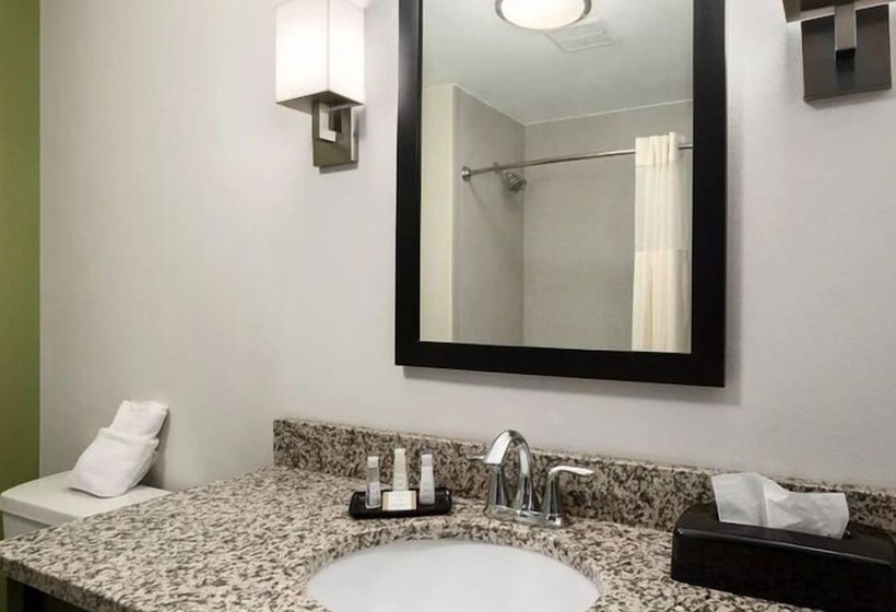 适合残疾人使用的标准间, Petrostay Inn & Suites Cotulla