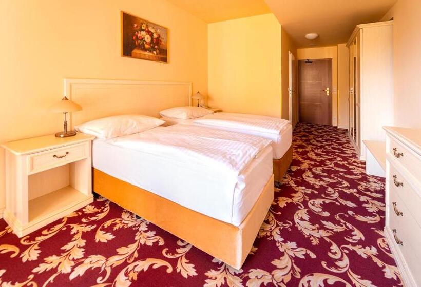 古典房间, Spa Hotel Vita