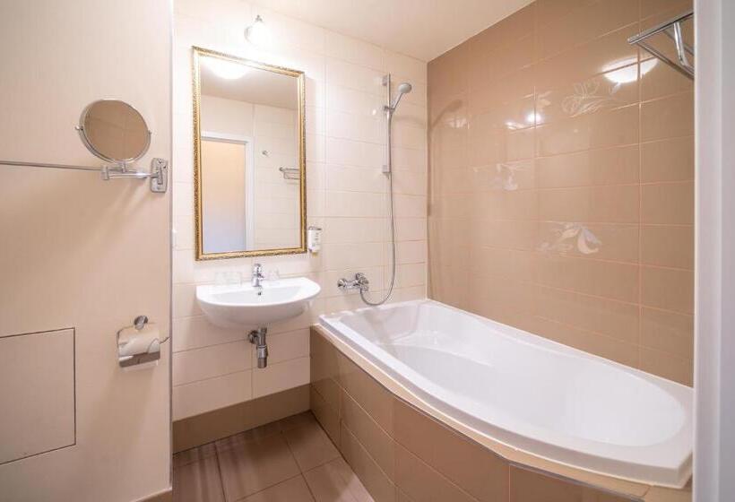 豪华房间, Spa Hotel Vita