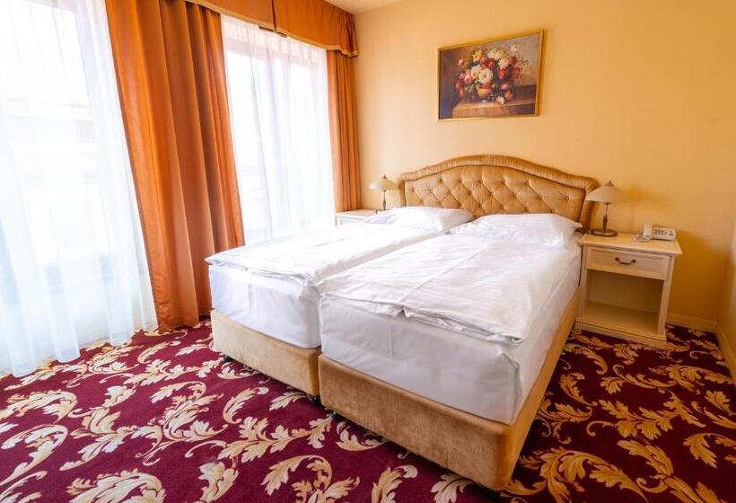 经典单人间, Spa Hotel Vita