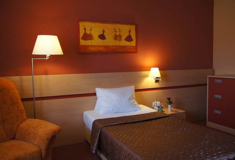 Номер Стандарт Индивидуальный, Kurhotel Brussel
